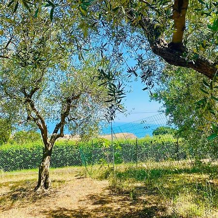 Villa In Collina Vista Mare Roseto Degli Abruzzi Esterno foto