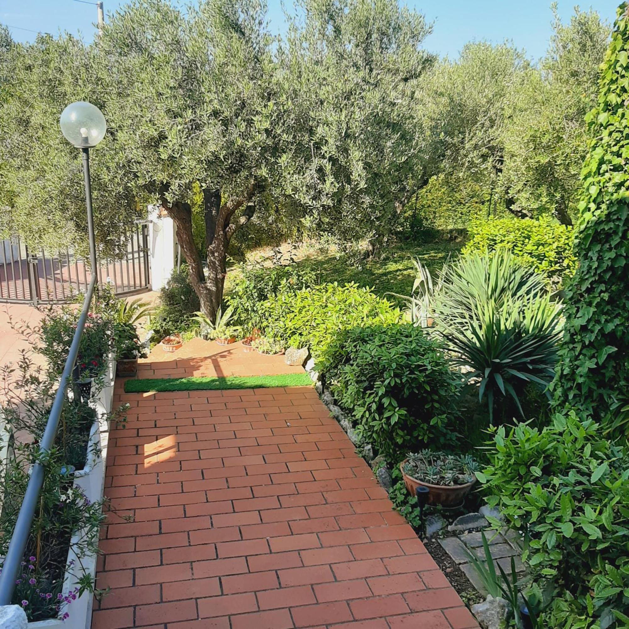 Villa In Collina Vista Mare Roseto Degli Abruzzi Esterno foto