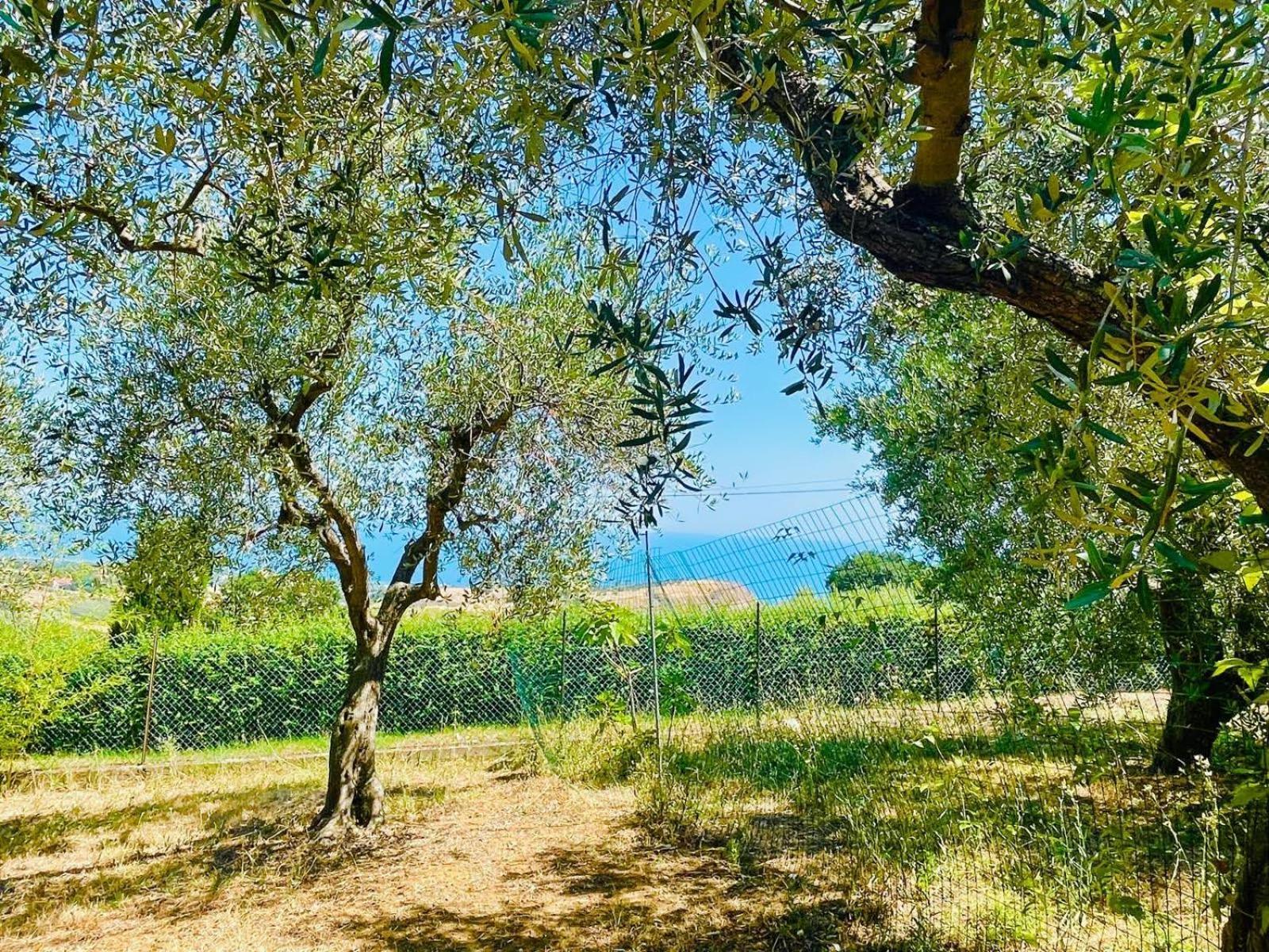 Villa In Collina Vista Mare Roseto Degli Abruzzi Esterno foto